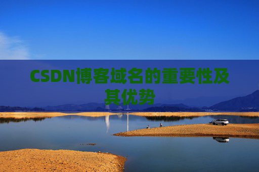 CSDN博客域名的重要性及其优势